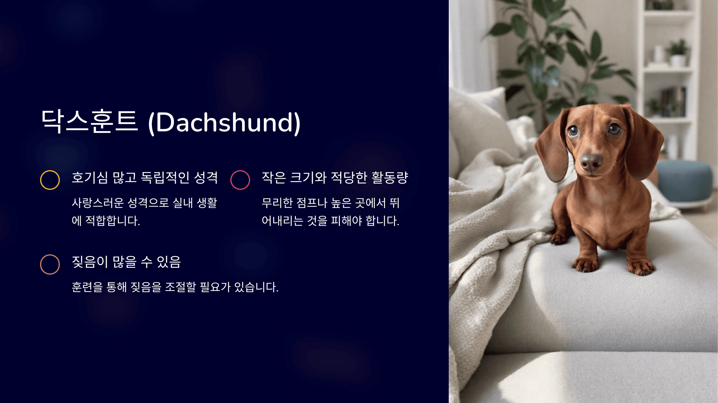 닥스훈트 (Dachshund)