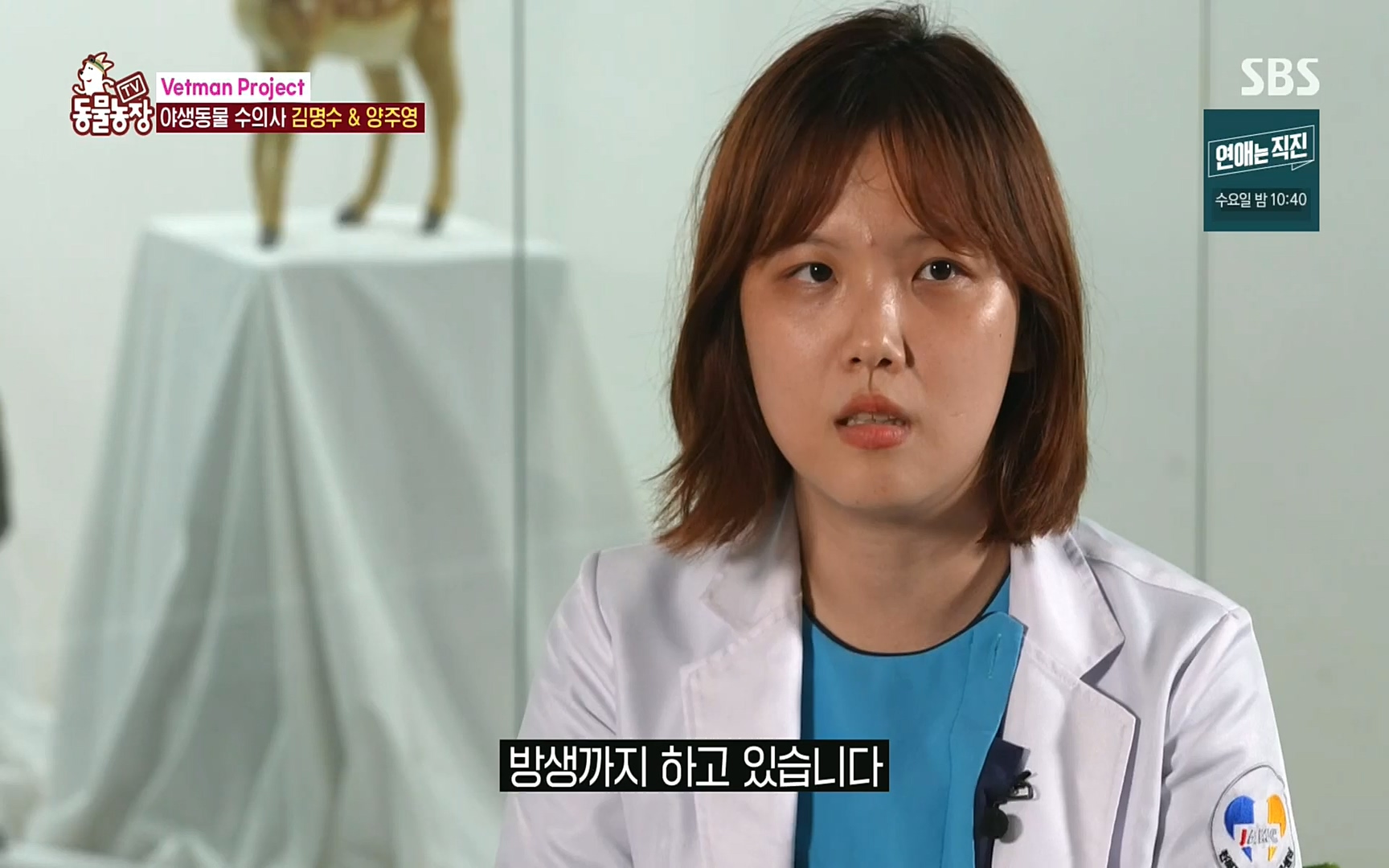 TV 동물농장.E1081.220807p.H264-F1RST.mp4_20220807_213627.775.jpg
