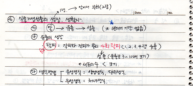 선충의 성장과 생활사