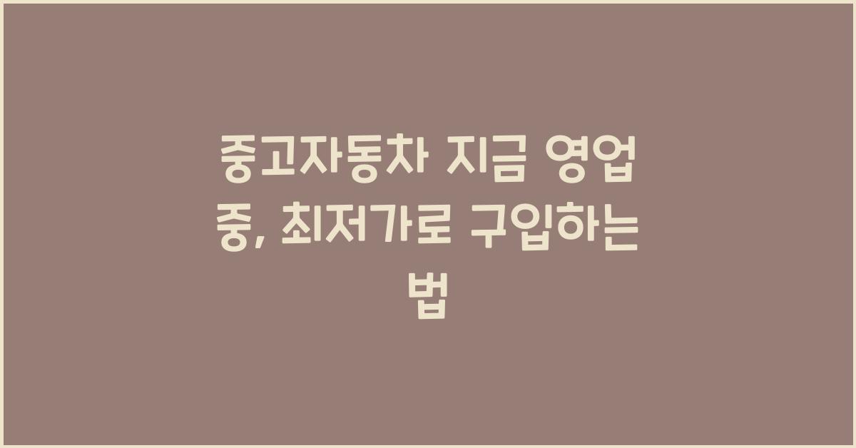 중고자동차 지금 영업 중