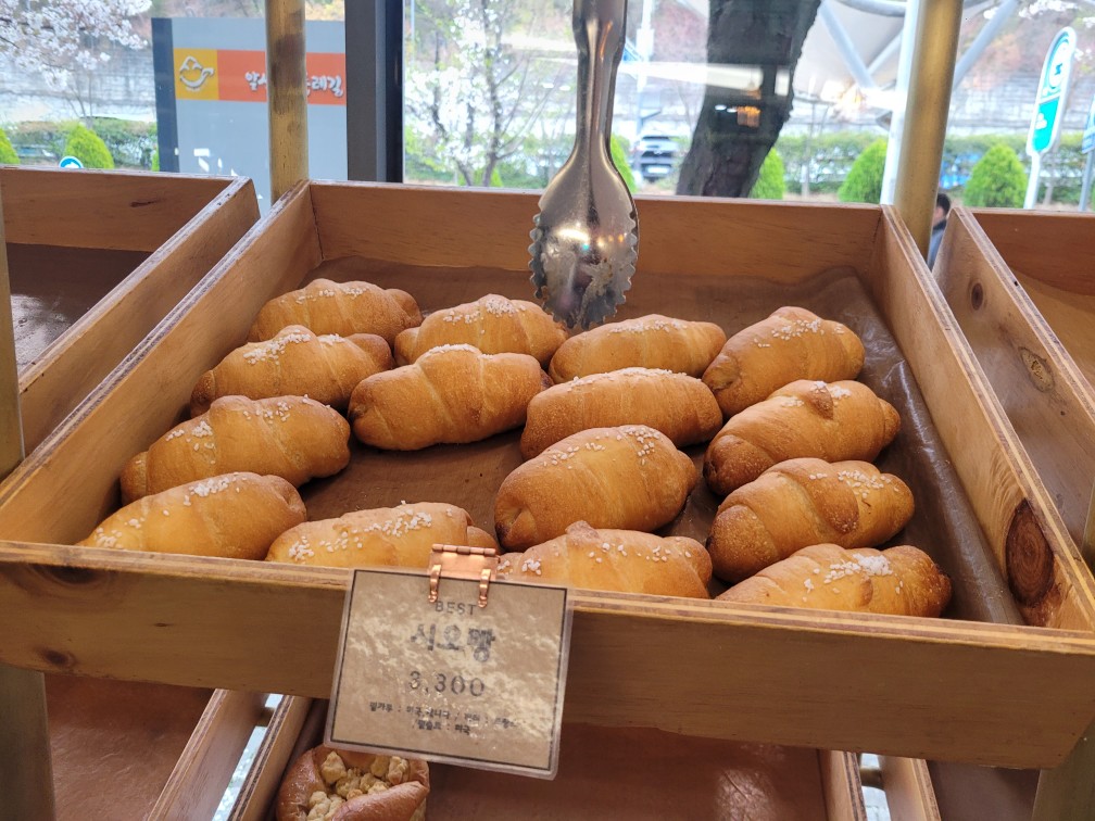 카펠라 카페: 벚꽃 뷰의 명소