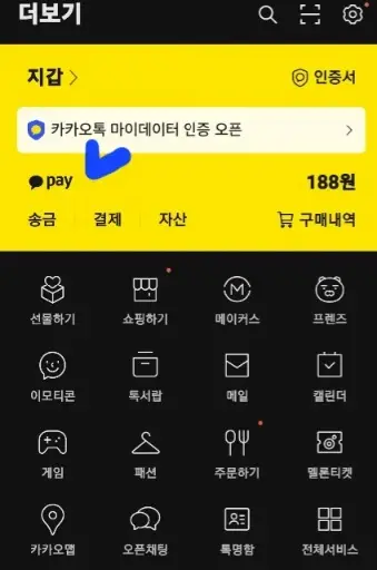 카카오페이들어가기