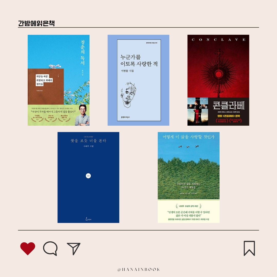 꽃피는청춘주 이미지