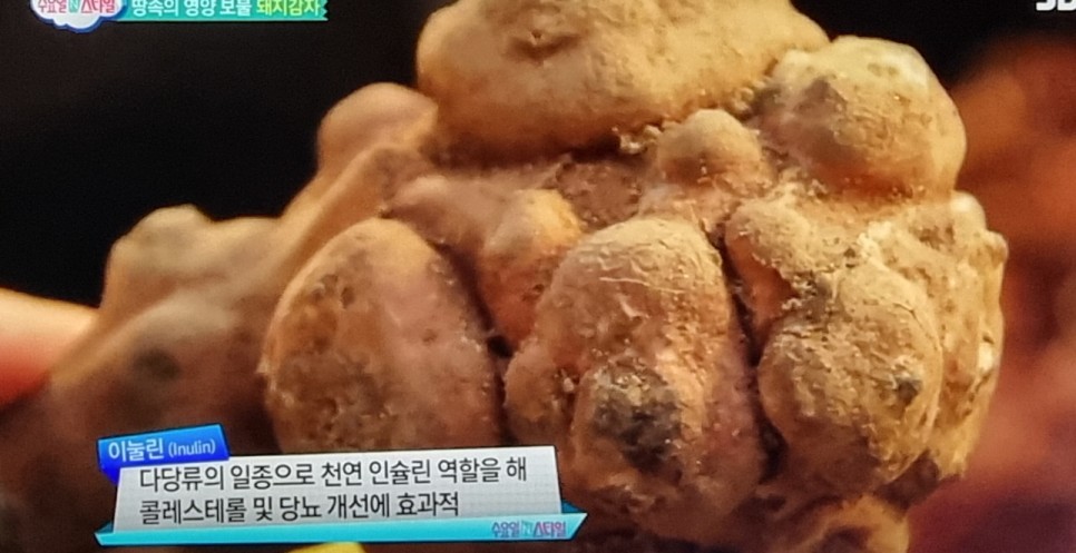 철분 많은 고기 철분이 많은 9