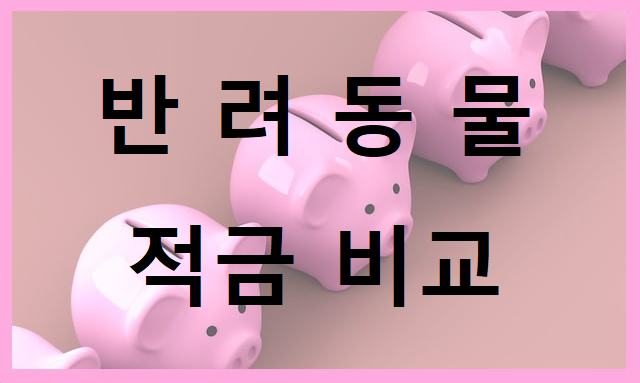 반려동물 적금 비교 텍스트이미지
