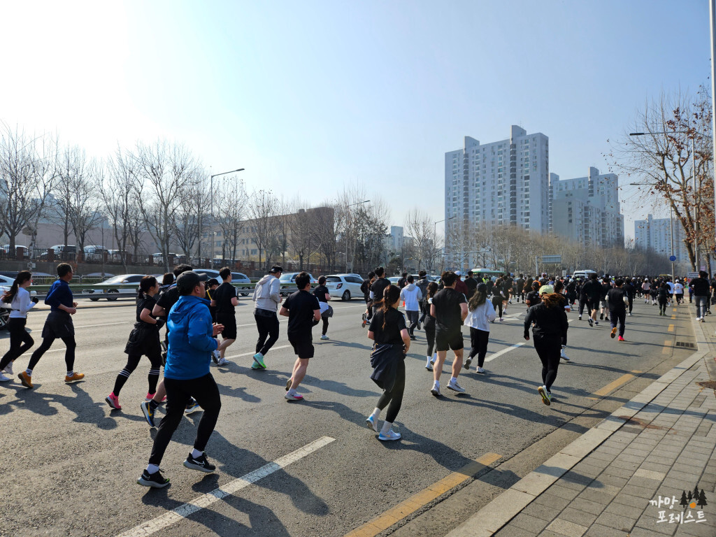 서울 마라톤 10K