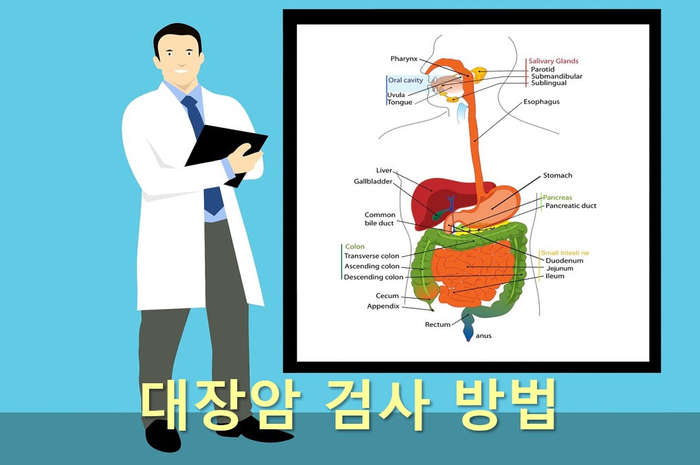  대장암 검사 방법과 대장암 수술 후 좋은 음식