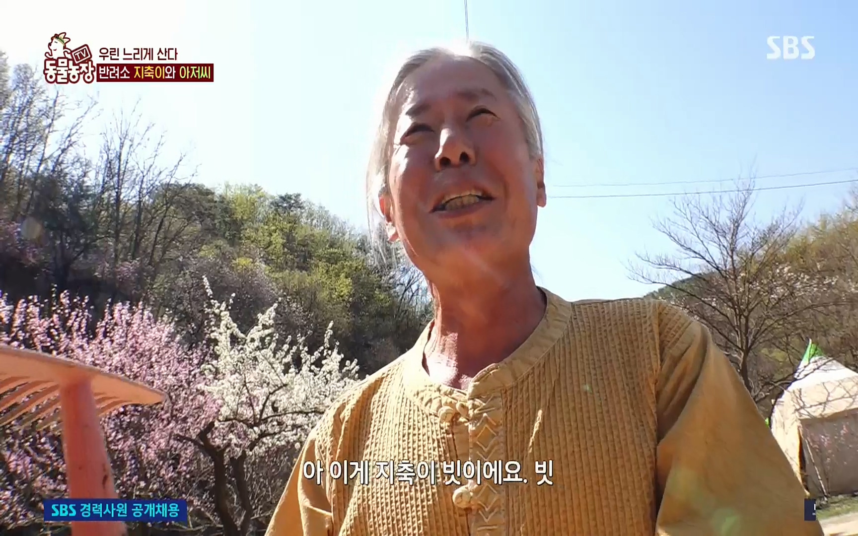 TV 동물농장.E1074.220619p.H264-F1RST.mp4_20220619_181155.927.jpg
