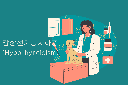 갑상선기능저하증
