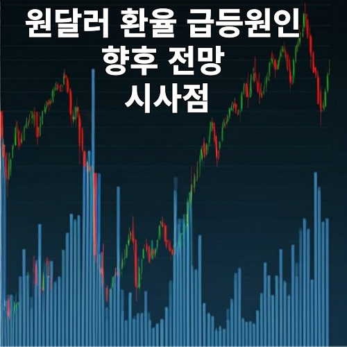 원달러 환율 급등 원인과 향후 전망