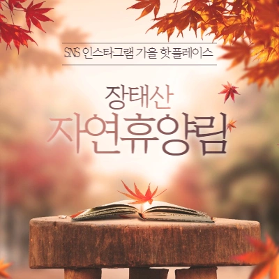  가을의 정취가 가득한 "장태산 자연휴양림"