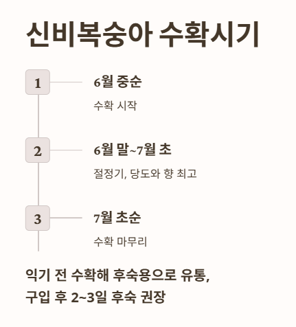 신비복숭아 수확시기