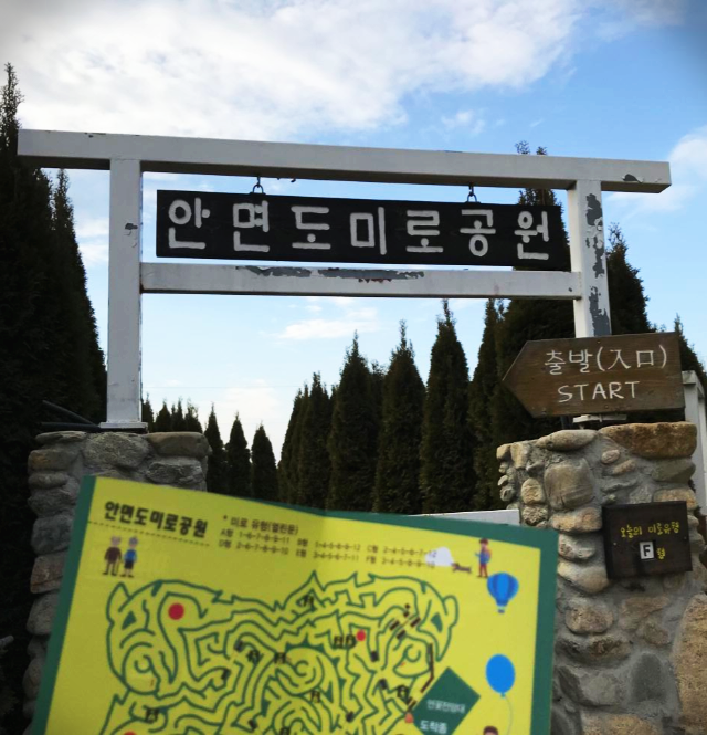  안면도 미로공원 대탈출 성공 해봅시다!