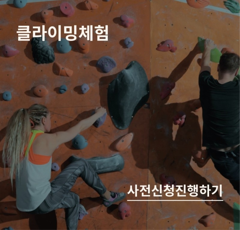 힐링금 이미지