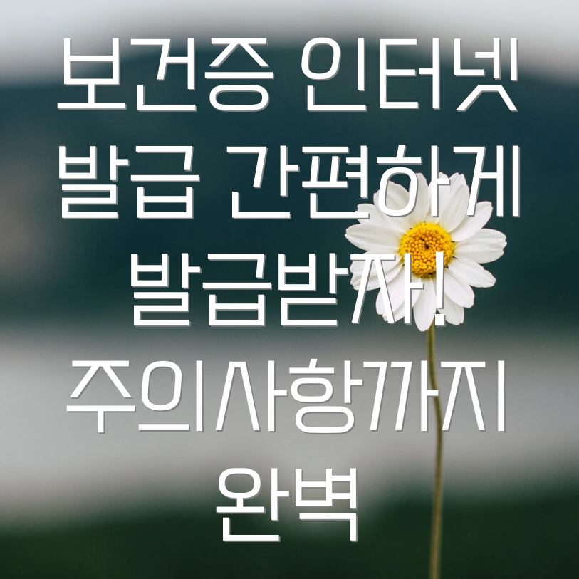 보건증 인터넷 발급