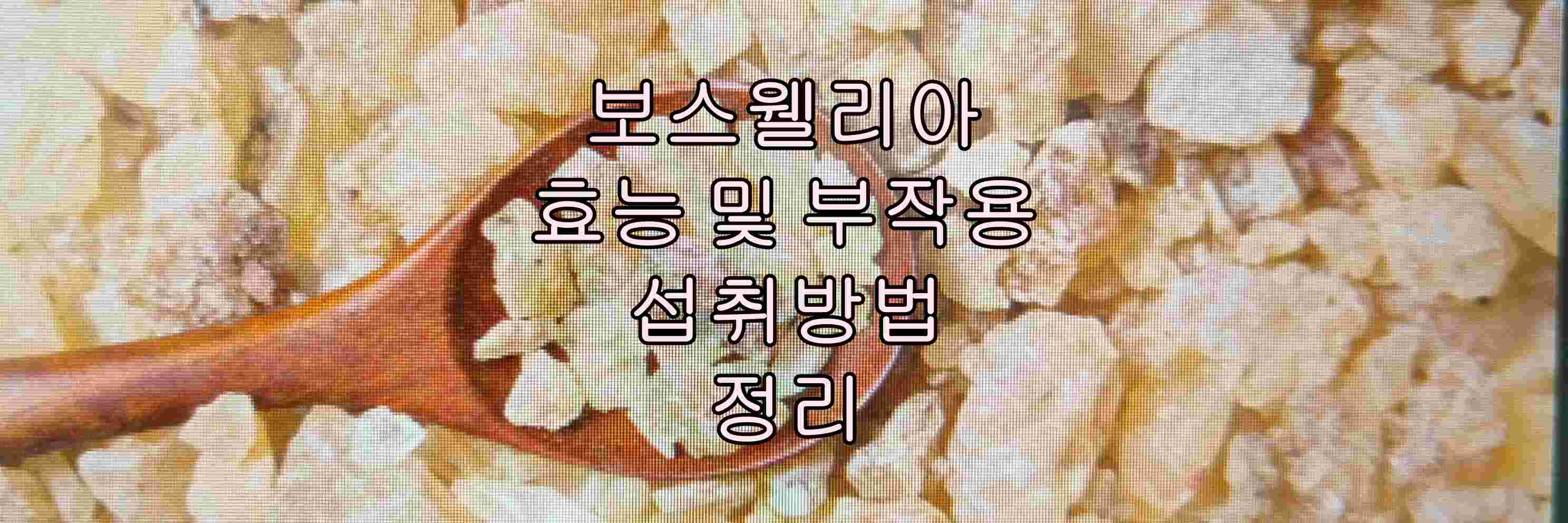 관절 보스웰리아를 찾으신다면 효능이 좋은 보스웰리아 추천! 체인미보스웰리아초록입홍합엘라스틴 8