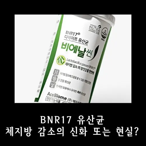  BNR17 유산균, 체지방 감소,다이어트 신화 또는 현실?