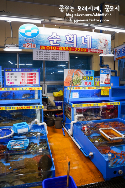 속초수협 순희네횟집 10
