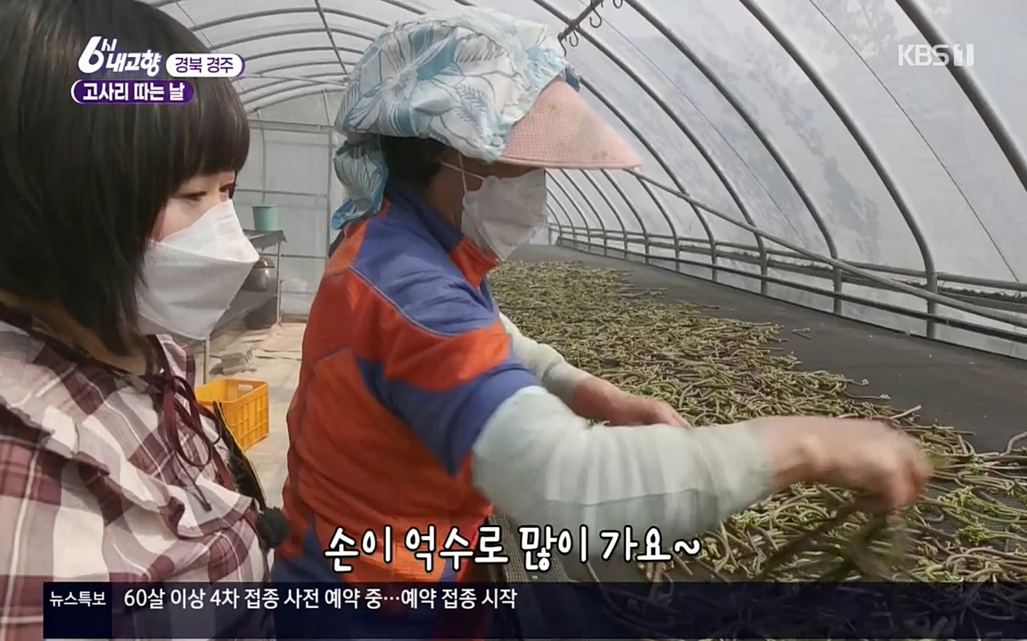 6시 내고향.E7518.220426p.H264-F1RST.mp4_20220504_192758.369.jpg
