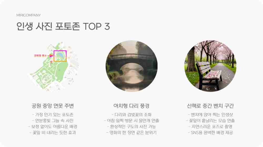 대구 월곡역사공원 겹벚꽃터널 위치 실시간 개화상황