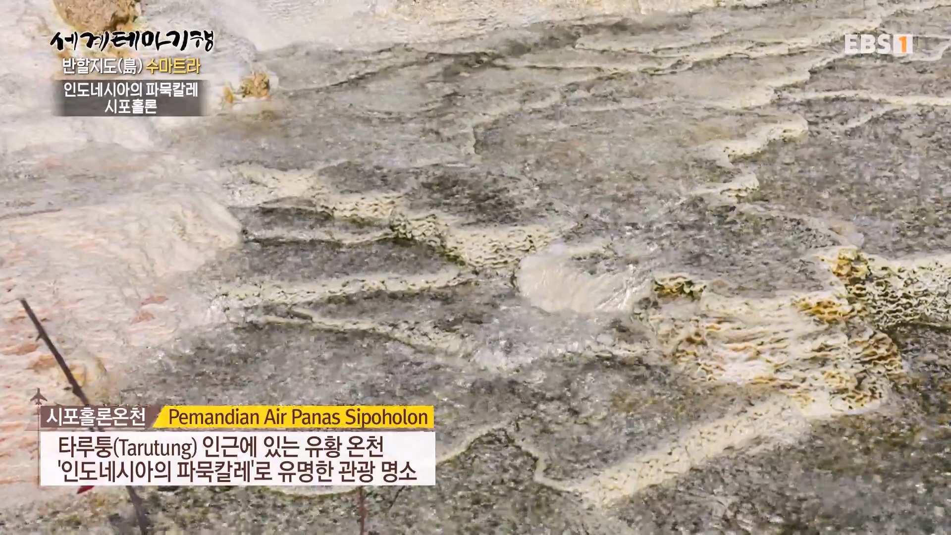 세계테마기행.230802.반할지도(島) 수마트라-3.뜨거운 것이 좋아.mp4_20230820_130030.023.jpg