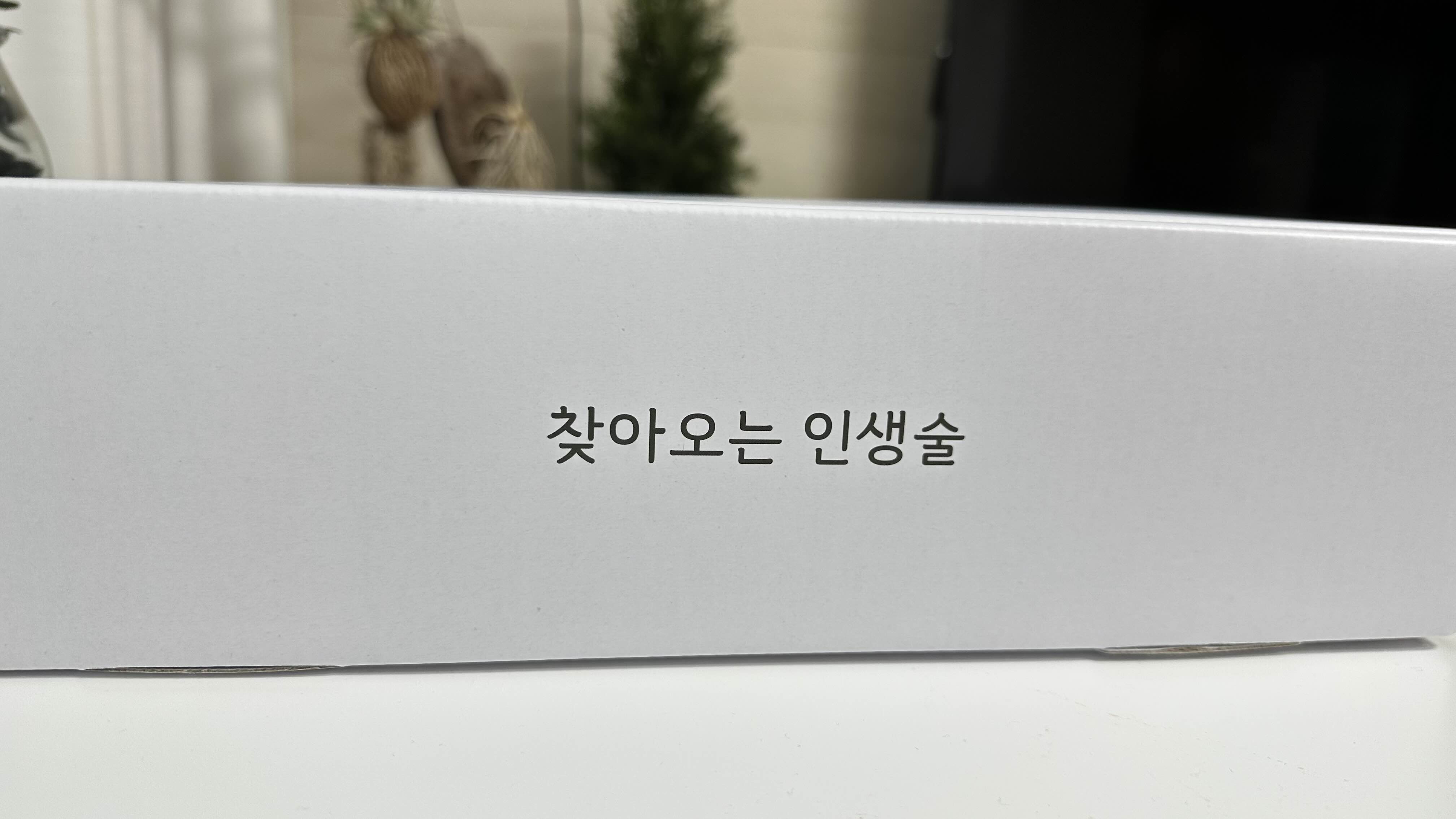 인생술