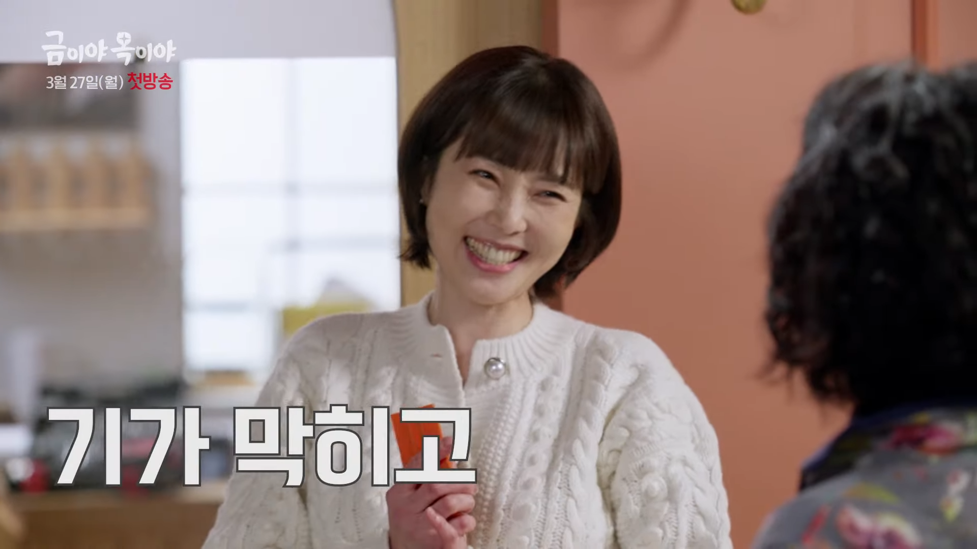 월화드라마 수목드라마 일일드라마
