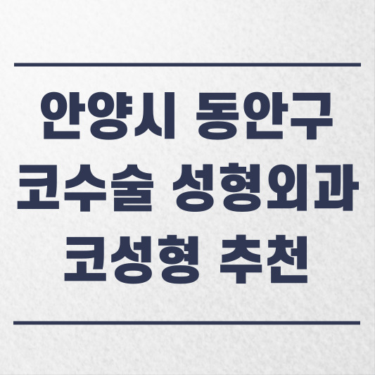 안양시 동안구 코수술 성형외과 추천 코성형 잘하는 곳 가격 비용 금액 후기.jpg