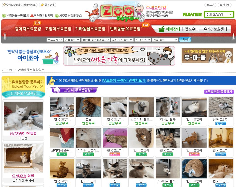 강아지 고양이 무료분양 입양 사이트(주세요닷컴)