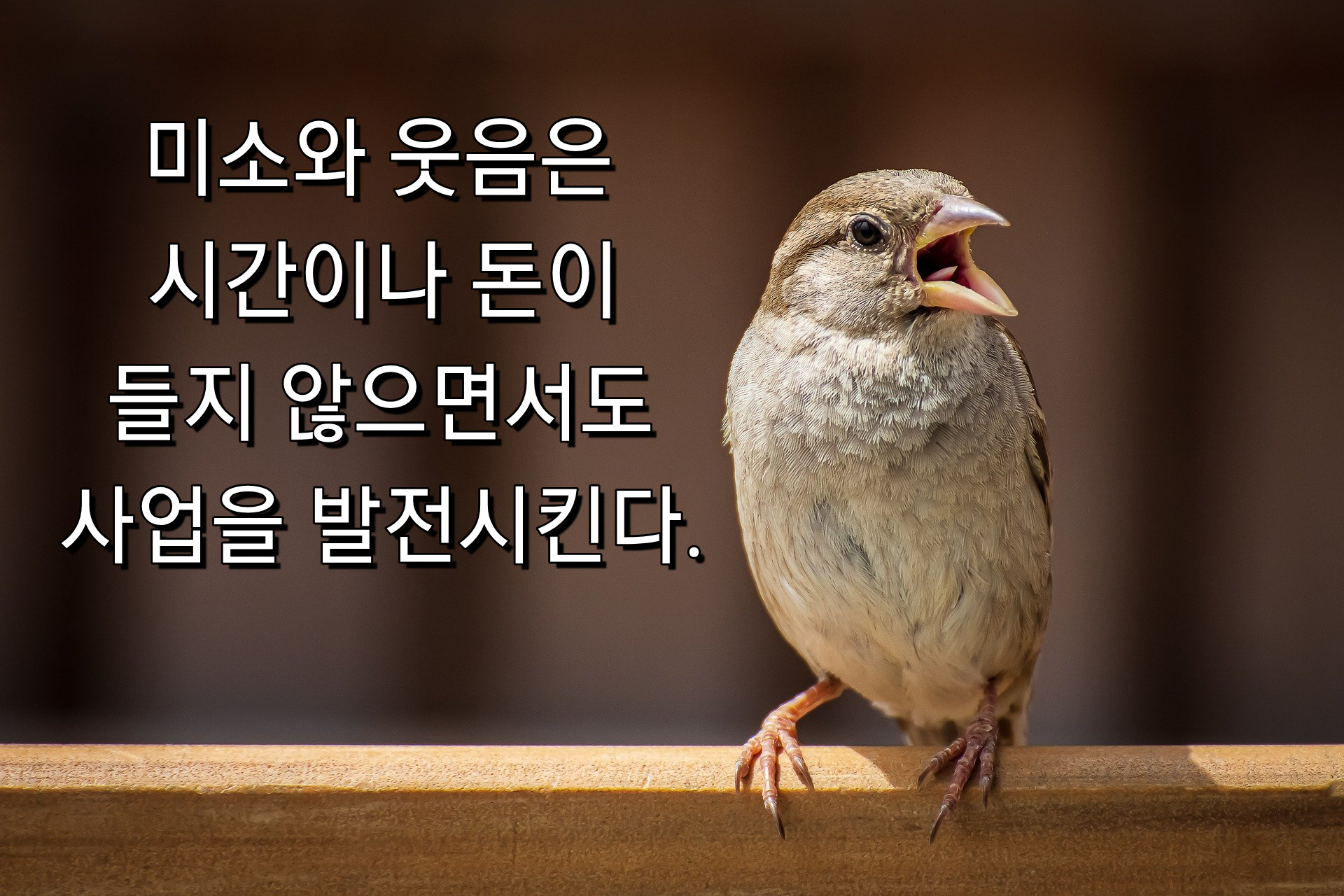  미소의발전