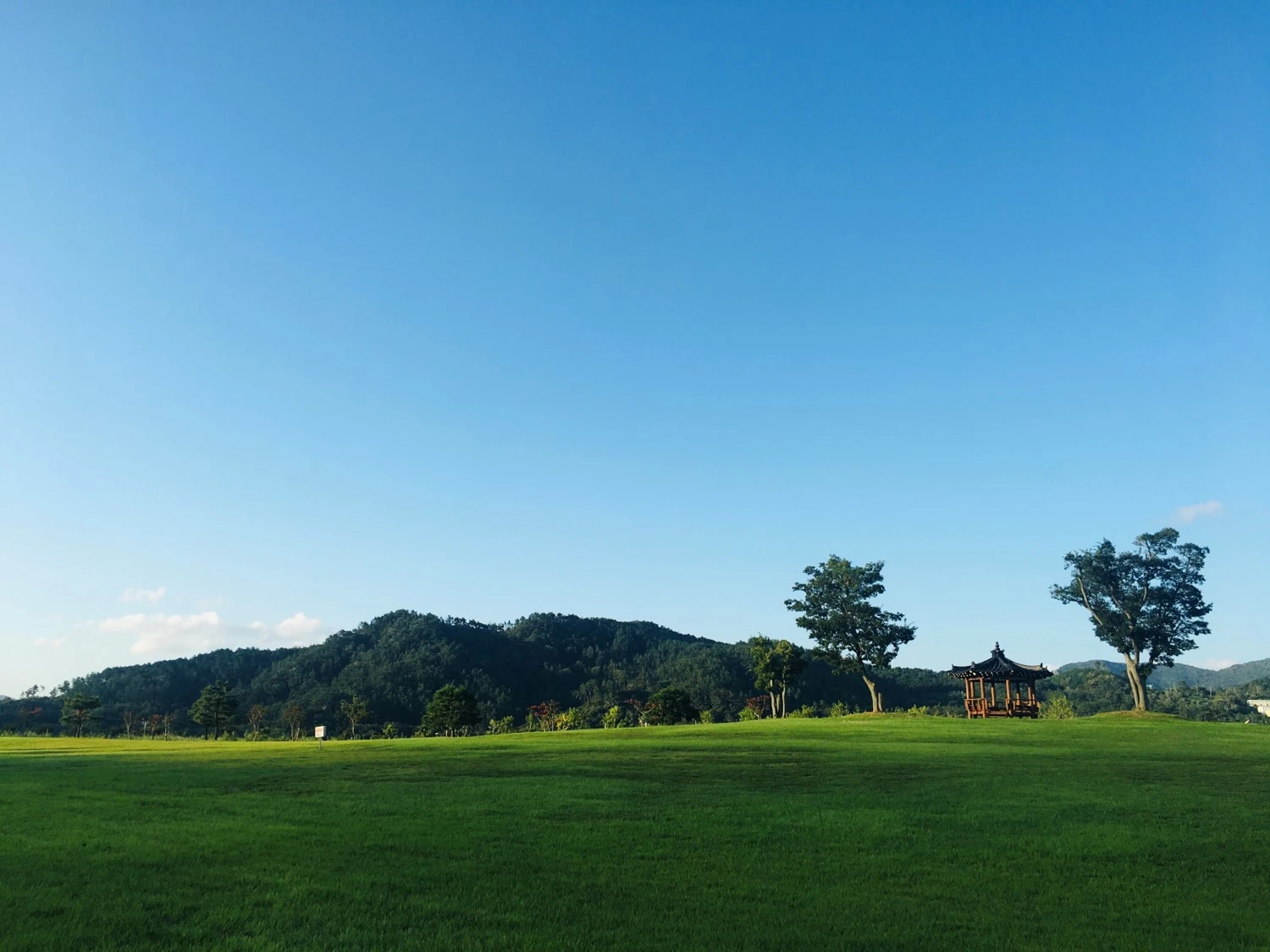 황산공원의 그린