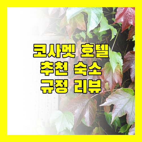 코사멧 인기 호텔 추천 숙소 규정 및