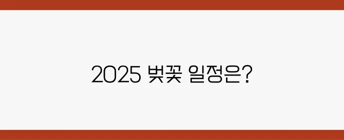 2025 벚꽃 만개시기 예측! 전국 개화 일정 한눈에