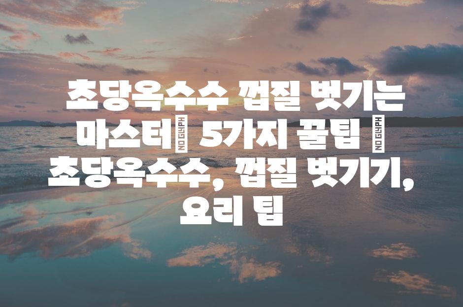 샘플 (81)