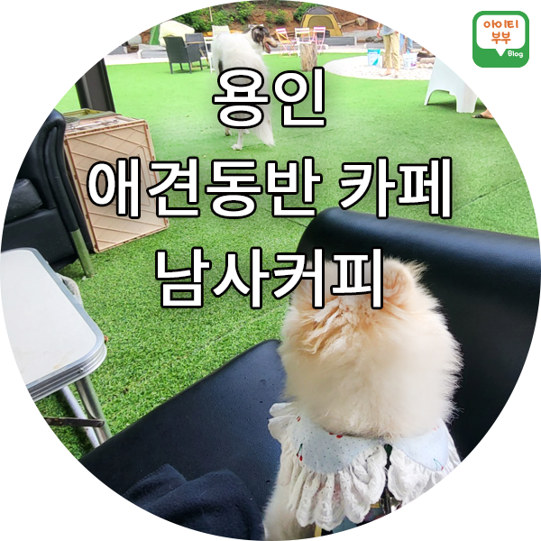 테이트카페 이미지