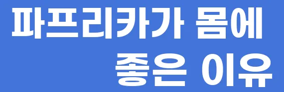 파프리카가 몸에 좋은 이유