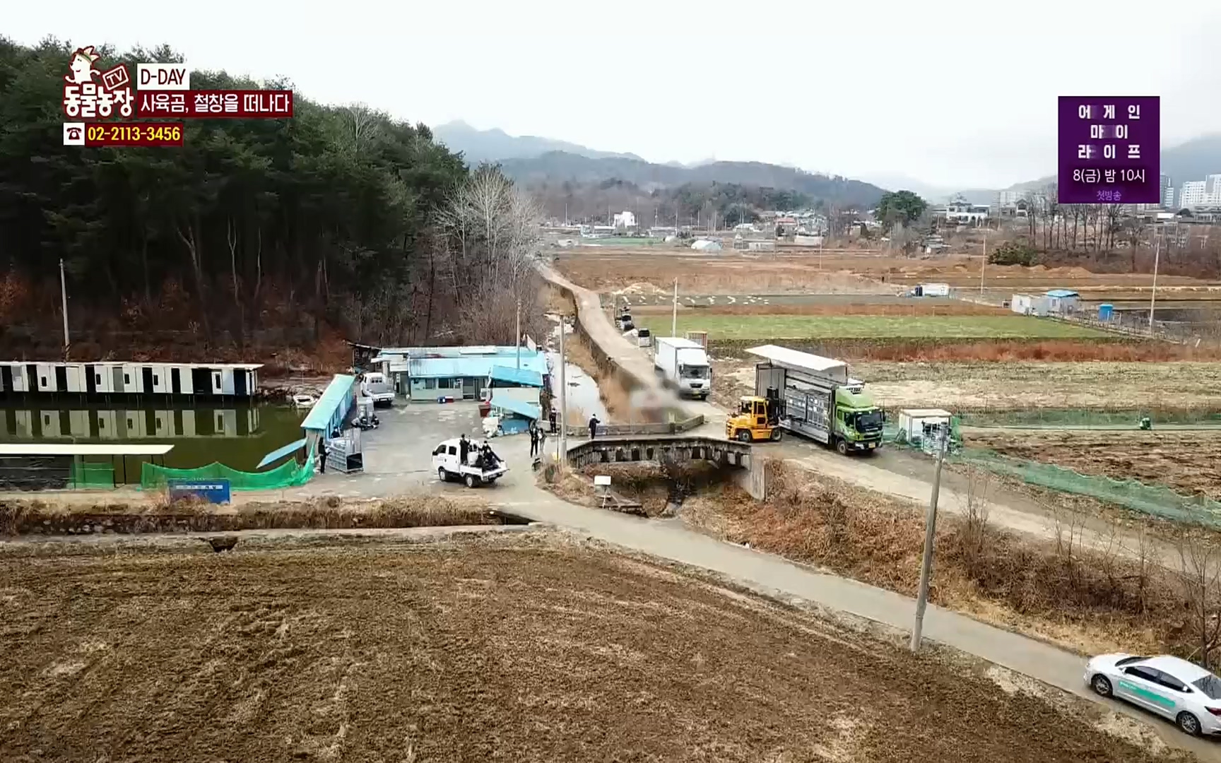 TV 동물농장.E1063.220403p.H264-F1RST.mp4_20220403_175131.150.jpg