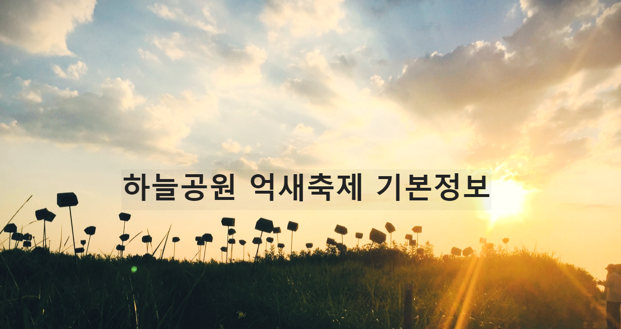 하늘공원_억새축제_기본정보