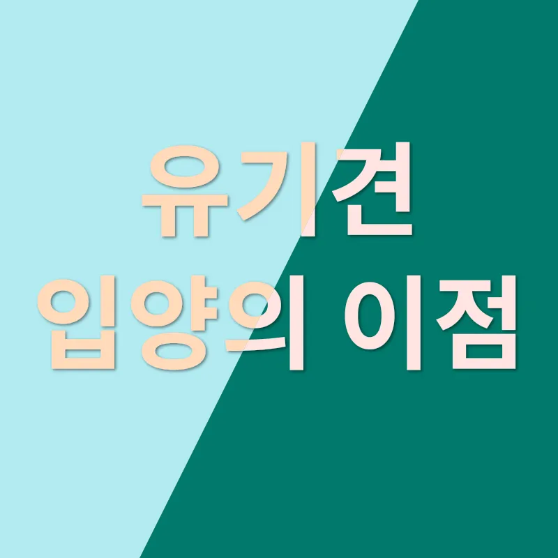 유기견 입양의 중요성_1
