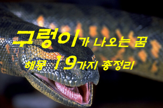  구렁이꿈 해몽 19가지 총정리
