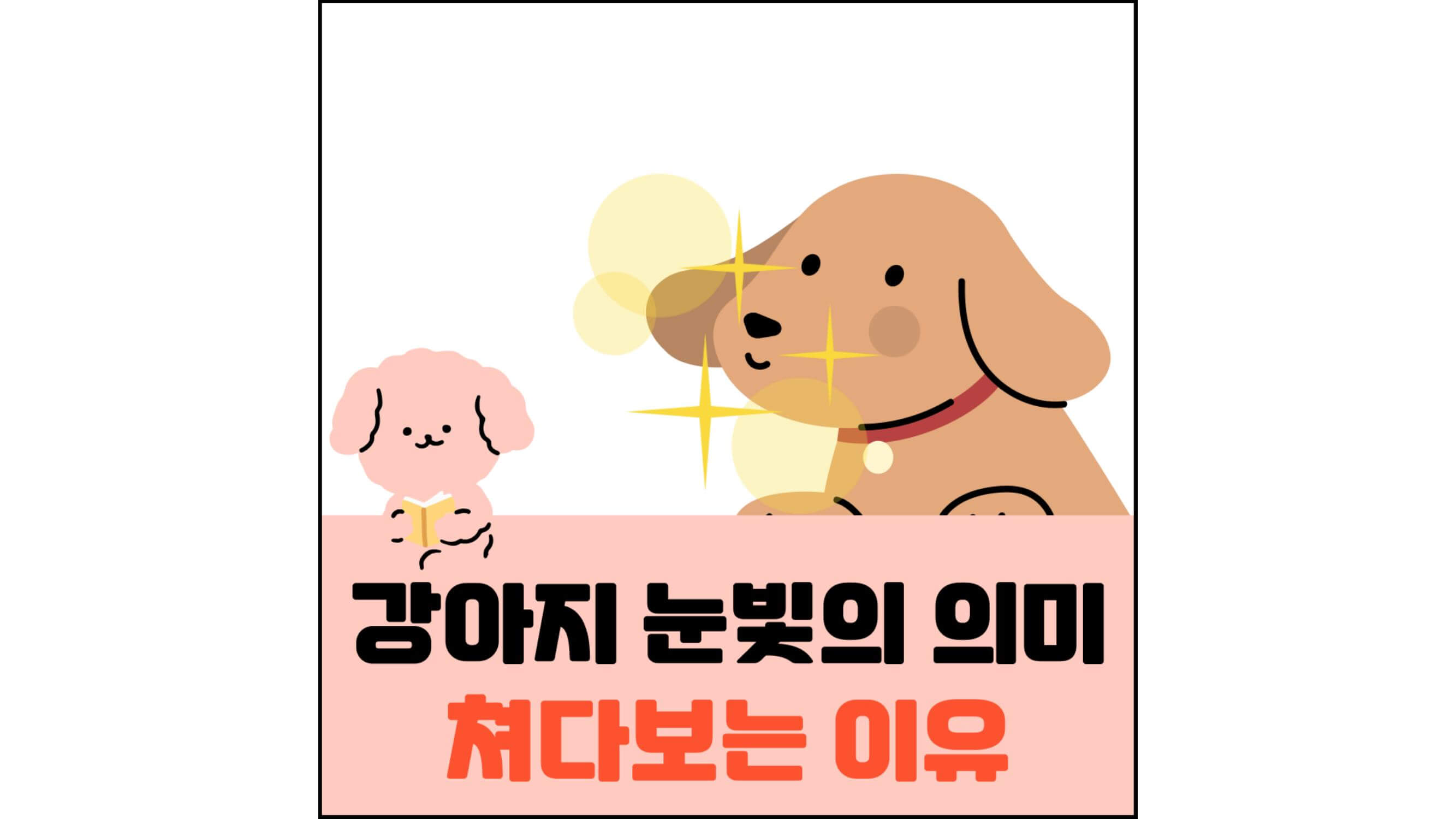 강아지-눈빛의-의미-쳐다보는-이유-섬네일