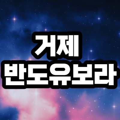  거제 반도유보라