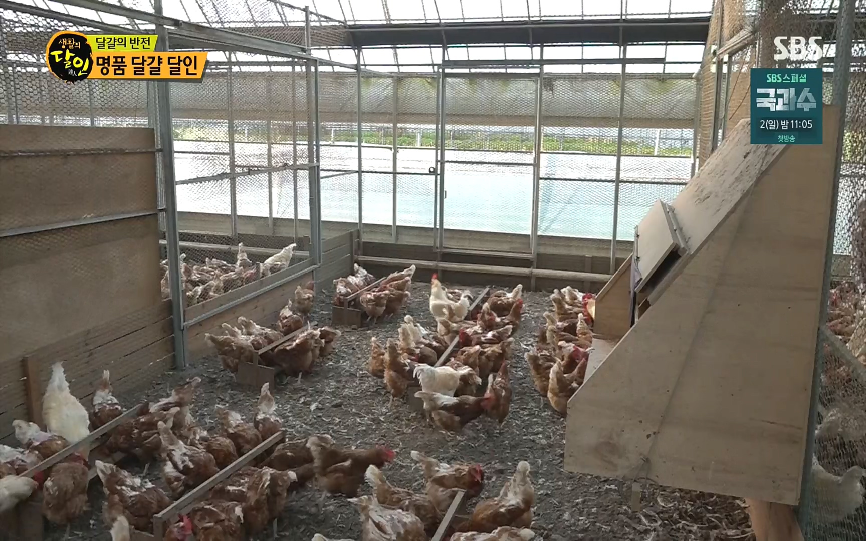 생활의 달인.E860.220926p.H264-F1RST.mp4_20220927_201423.553.jpg