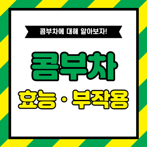  콤부차의 효능과 부작용
