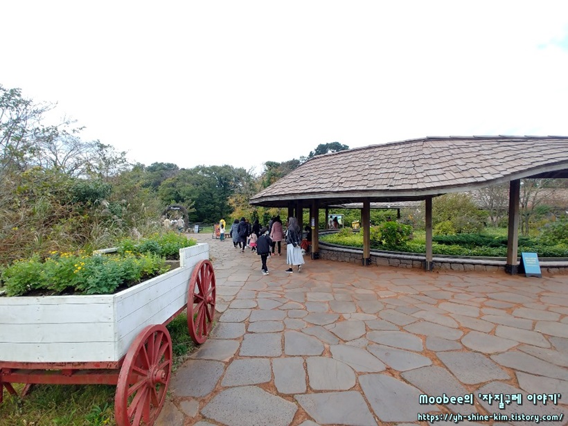 제주 에코랜드 테마파크