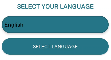 언어선택