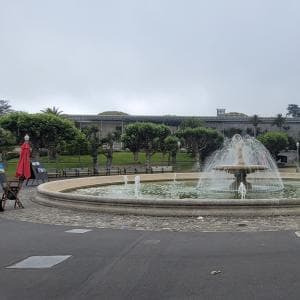 img.jpg