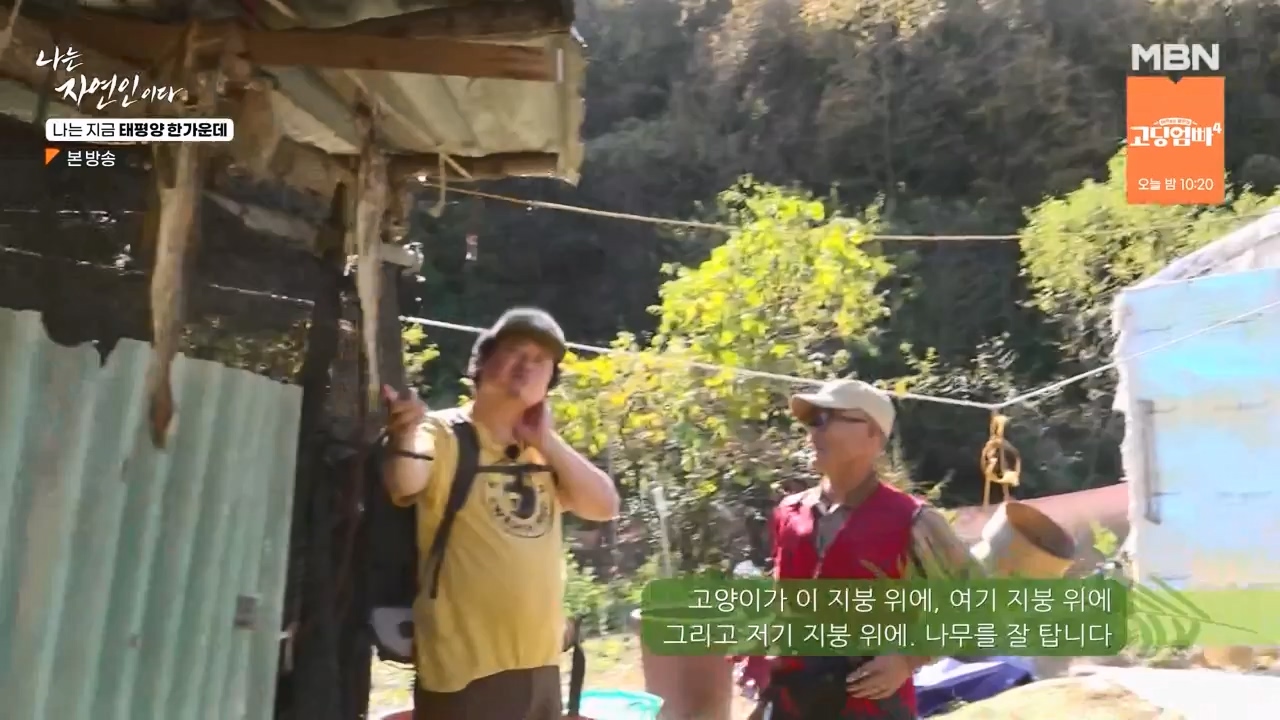 나는 자연인이다.E581.231123p-NEXT.mp4_20231123_200712.266.jpg