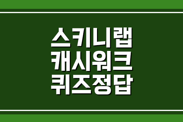  스키니랩 캐시워크 돈버는퀴즈 정답 보기