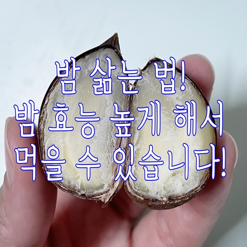  밤 삶는 법! 밤 효능 높게 해서 먹을 수 있습니다!